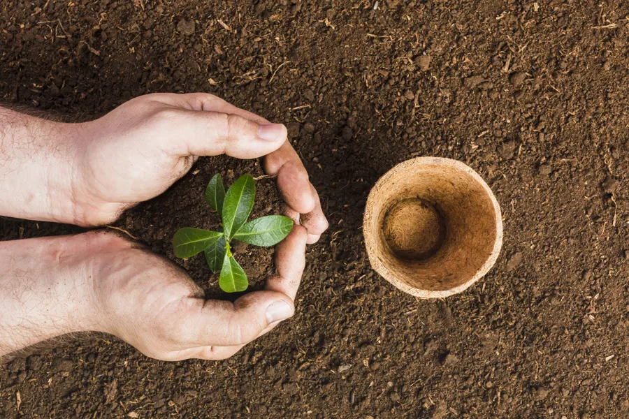 Hender som planter i brun og fruktbar jord