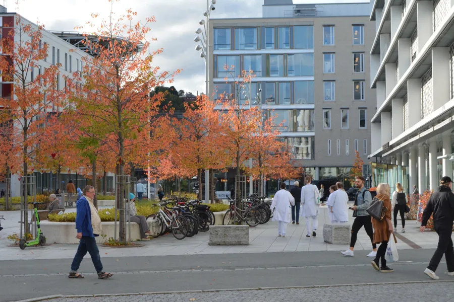 En gruppe mennesker som går på en gate med trær og bygninger. Fra St. Olavs hospital i Trondheim